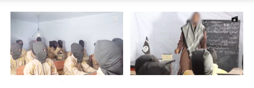 The Meir Amit Intelligence and Terrorism Information Center's Spotlight on Global Jihad (January 13-19, 2021)