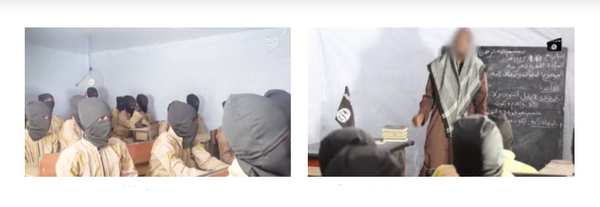 The Meir Amit Intelligence and Terrorism Information Center's Spotlight on Global Jihad (January 13-19, 2021)